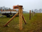 Schapengaas Crapal Medium 50m | Draaddikte 3,0-2,5 - Afbeelding 2