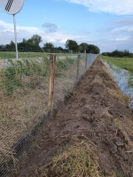 Dassengaas – Crapal gecoat | Rol 25 m - Afbeelding 2