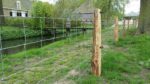 Schapengaas Crapal Medium 50m | Draaddikte 3,0-2,5 - Afbeelding 3