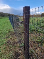 Tuingaas zwart geplastificeerd (Classic) | 5,0x10cm | Draaddikte 2,2 mm - Afbeelding 2