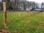 Tuingaas groen geplastificeerd (Strong) | 5,0x10cm | Draaddikte 2,5 mm - Afbeelding 2