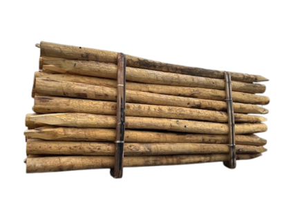 Kastanje palen 400 cm | ongepunt