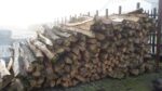Gekloofde eiken  | 160cm hoog koorde 17cm | ongepunt - Afbeelding 3