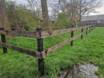 Dura² plank 3 × 15 × 500 cm | recht gezaagd - Afbeelding 3