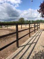 Dura² geschaafde balken 4.5x9.5x500cm - Afbeelding 4