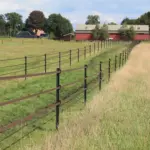 Ecopaal 1,85m (4 stuks) - Afbeelding 3