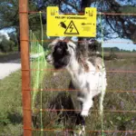 Combinet voor schapen, 90cm, 50m (enkele pen) - Afbeelding 3