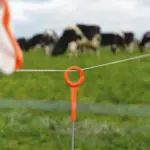 Vidoflex 9 TurboLine (wit, 200 meter) - Afbeelding 4