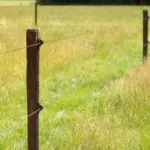 TurboLine cord (terra, 200 meter) - Afbeelding 4