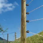 TurboLine cord (wit, 500 meter) - Afbeelding 4