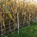 Wilde zwijnen net, 75cm, 50m (enkele pen) - Afbeelding 4
