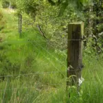 W-isolator Super (wit, 175 stuks) - Afbeelding 2