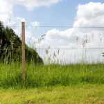 Gealuminiseerd draad (High Tensile) ø 1,8 mm (ca. 1250 meter) - Afbeelding 3