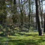 Wolvennet, Blauw 120/1W14/B-50m - Afbeelding 3