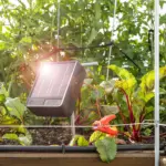 S6li Zonnepaneel schrikdraadapparaat incl. accu  (0,08J - Solar) - Afbeelding 4