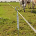 Geëlektrificeerde ring top paal (10 stuks) - Afbeelding 3